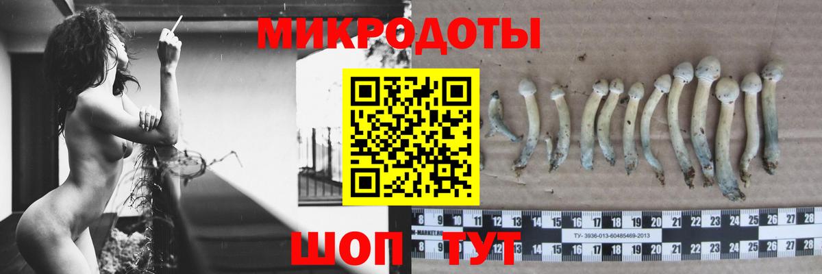 Псилоцибиновые грибы мухоморы  наркошоп  Волгоград  Вход с VPN 